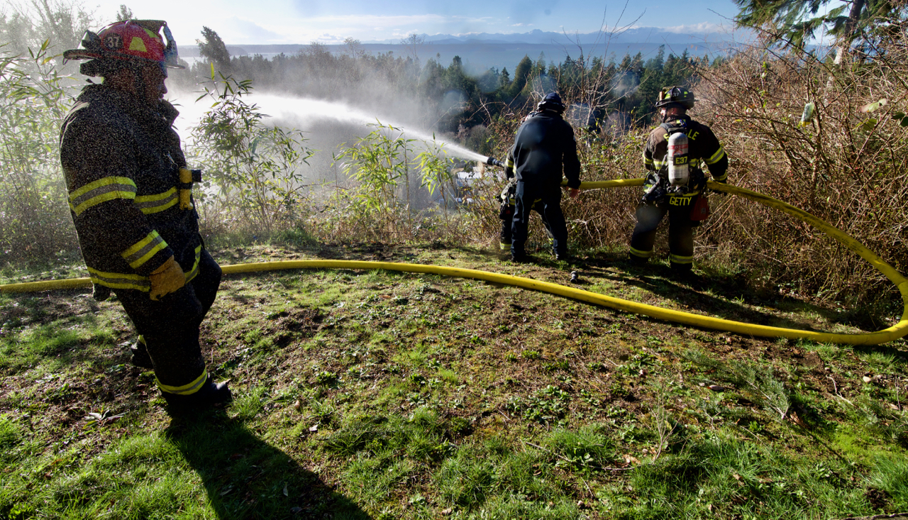 UPDATE: High Winds Knock Over Tree, Downing Power Line Leading To Brush ...